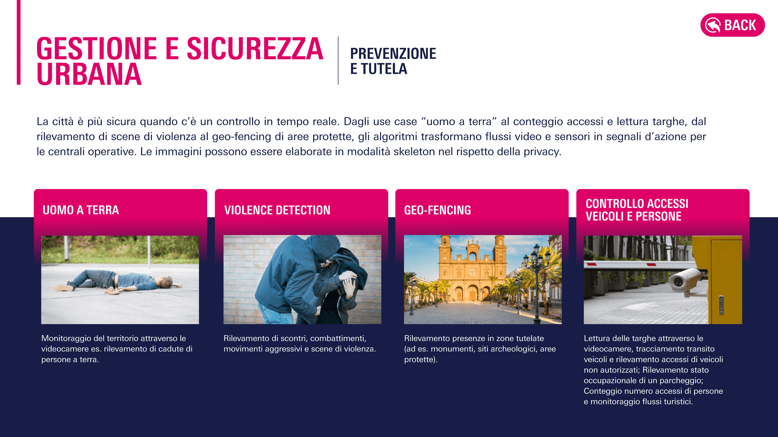Pagina 7